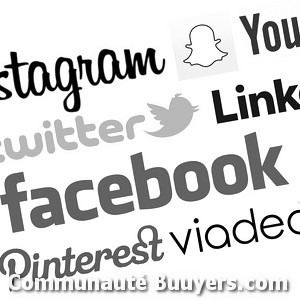 Logo Bloomdido Studio