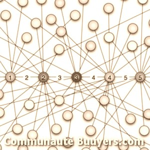 Logo Idim