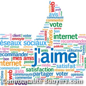 Logo Thevenet Julien