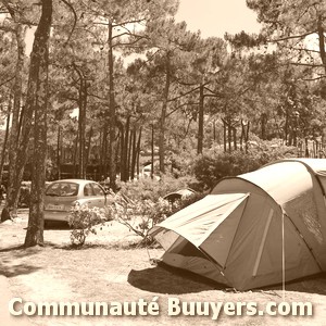 Logo Camping Le Jardin