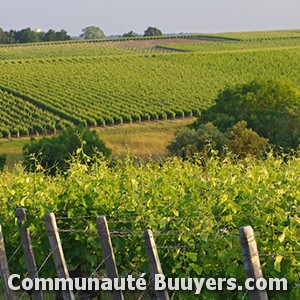 Logo Camping Le Trèfle A 4 Feuilles