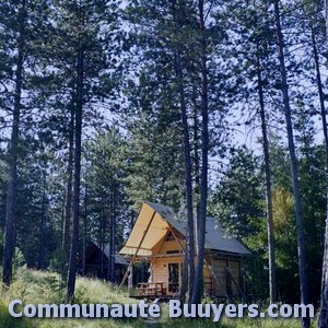 Logo Le Chene Gris