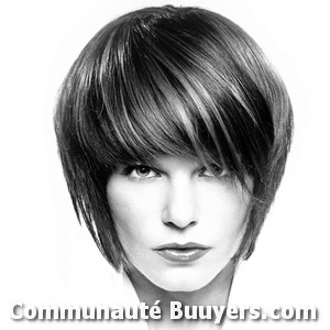 Logo Alain Coiffure
