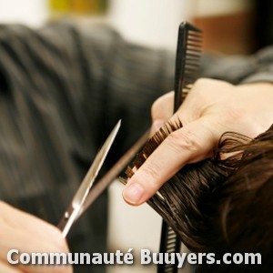 Logo Salon Philippe