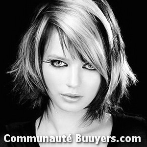 Logo Salon Vincent Coiffure