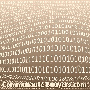 Logo Camallonga Emmanuel