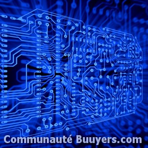Logo Netapsys Atlantique