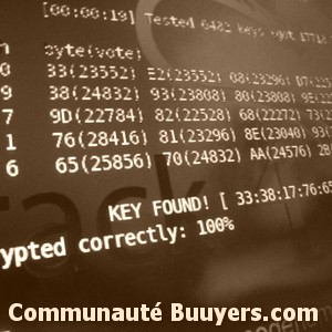 Logo We Are Numeric