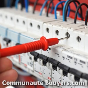 Logo Rod.Elec.60