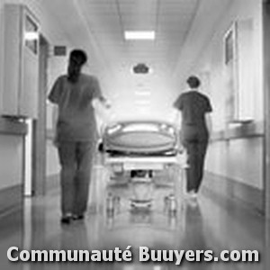 Logo Sellier Isabelle