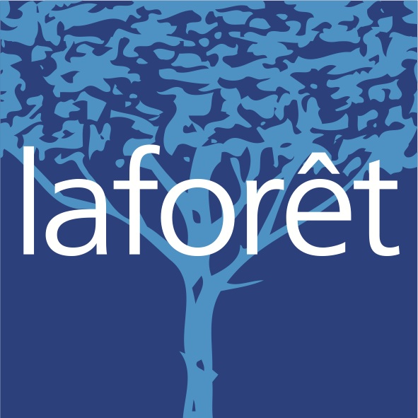Logo Laforêt Immobilier Mamet  (Sarl) Franchisé Indépendant