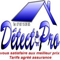 Logo Detect Pro