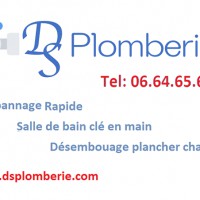 Logo Dsplomberie