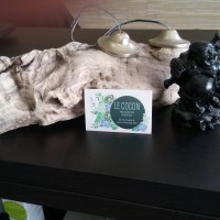 Logo Le Cocon