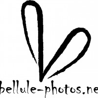Logo Libellule-photos
