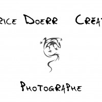 Logo Maurice Doerr Créations