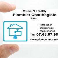 Logo Meslin Freddy