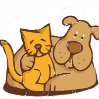 Logo Claire Bourdenet