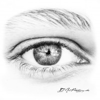 Logo Tyt'art Photographe
