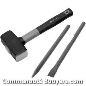 Logo ROBERTPRO