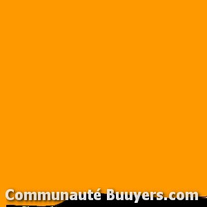 Logo Damin Georges