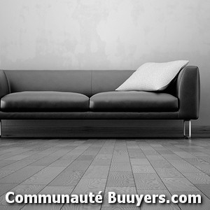 Logo Lupu Dumitru Vasile