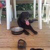 Photo de profil de cyrano72