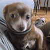 Photo de profil de Ninzo133