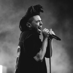 Photo de Sizuki