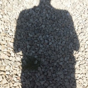 Photo de profil de boulghour