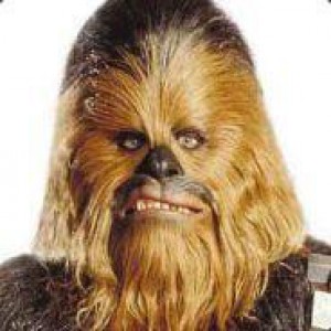 Photo de profil de choubaka