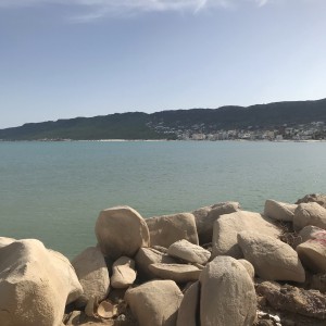 Photo de profil de Arbia SLIBI 