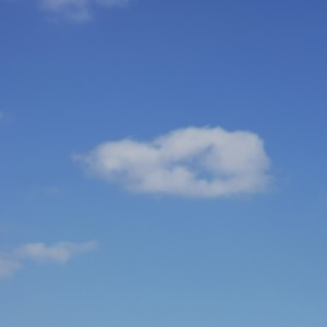 Photo de profil de Reny