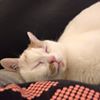 Photo de profil de Emilie62100