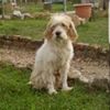 Photo de profil de Ella