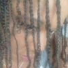 Photo de profil de Westania@hotmail.fr 