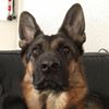 Photo de profil de fmarty