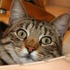 Photo de profil de marcelle