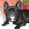 Photo de profil de Aline