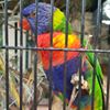 Photo de profil de Alu Pvc Concept