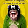 Photo de profil de loulou67