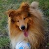Photo de profil de Liline