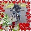 Photo de profil de Pasqualina Capocchiani Avenel