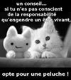 Photo de profil de Anthony et Nathalie
