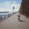Photo de profil de Laure