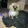 Photo de profil de Philippe
