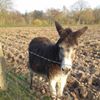 Photo de profil de djj47@orange.fr