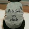 Photo de laure.lho@hotmail.fr