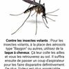 Photo de profil de Virginie 11000