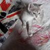 Photo de profil de 